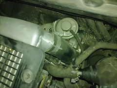 09062011095 09062011095