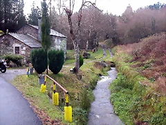 DSCN7301