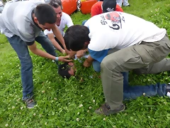 P1190806 P1190806