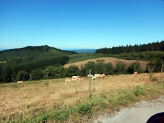 DSCN7571