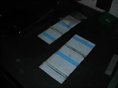 DSCN3264