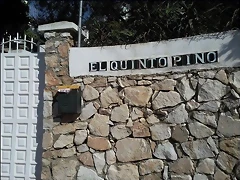 el quinto pino