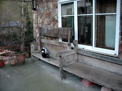 DSCN3054 DSCN3054