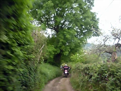 DSCN4567 DSCN4567