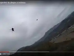 ataque abejas1