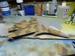 P1060075 P1060075