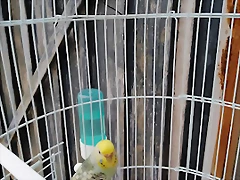 IMG_20240130_092713