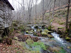 DSCN0135 DSCN0135