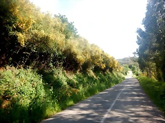 DSCN6204 DSCN6204