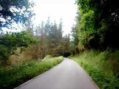 DSCN7443 DSCN7443