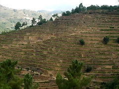 DSCN1157'2