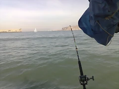 05022011826 05022011826