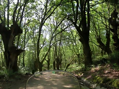 IMG_2739 IMG_2739