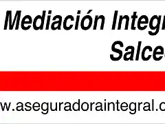 Aseguradora Integral