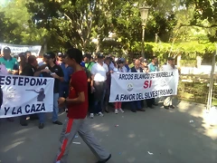 IMAG0860