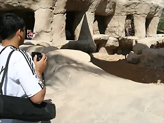 Al Ain Zoo - Atlantis - 19-12-08 070 Al Ain Zoo - Atlantis - 19-12-08 070