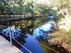DSCN9732 DSCN9732