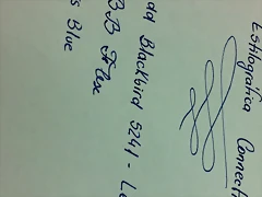 Imagen 065