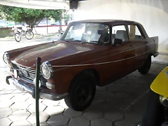 SDC14392 SDC14392