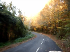 DSCN0110 DSCN0110