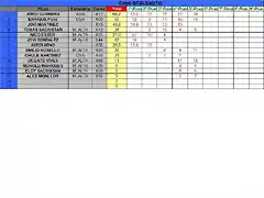 CLASIFICACION PROVISIONAL COPALICANTE 2013 - SCALEAUTO -MAYO