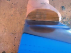 DSCF1351 DSCF1351