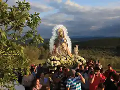 028, en la fuente del rosal, marca