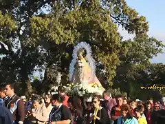 024, la virgen, marca