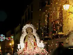 22, lluvia de ptalos de rosas, marca