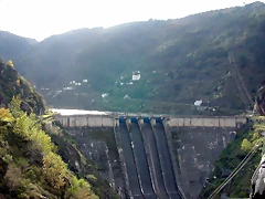DSCN8486 DSCN8486