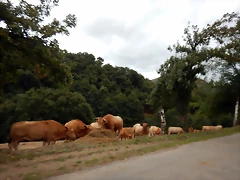 DSCN7129 DSCN7129