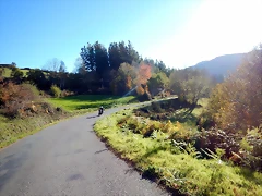 DSCN9433 DSCN9433