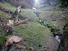 DSCN8173 DSCN8173