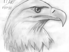Eagle2
