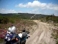 DSCN5374