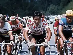 TOUR 1976,GIANCARLO BELLINI,POULIDOR,KUIPER.