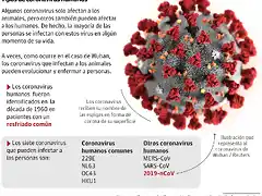 TipoCoronavirus2020-1