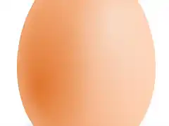 Eggs02