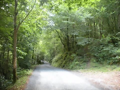 DSCN6138 DSCN6138