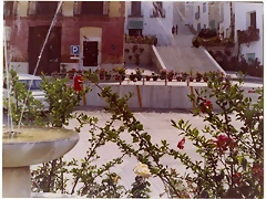 plaza 1971 plaza 1971