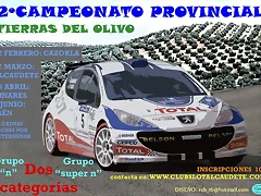 CARTEL RALLY DEL OLIVO 2009