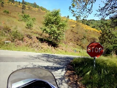 DSCN0982