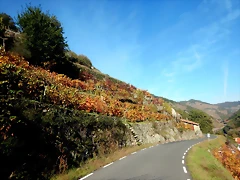 DSCN1552 DSCN1552