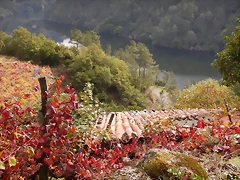 DSCN9918 DSCN9918