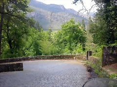 DSCN2440 DSCN2440