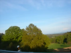 DSCN2516 DSCN2516