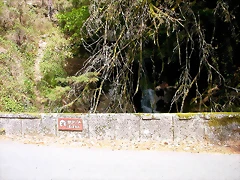 DSCN2436 DSCN2436