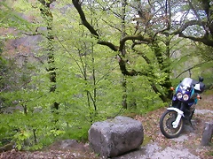 DSCN2434 DSCN2434
