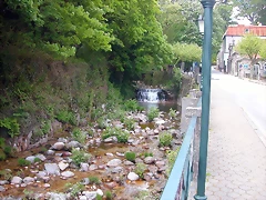 DSCN2444 DSCN2444