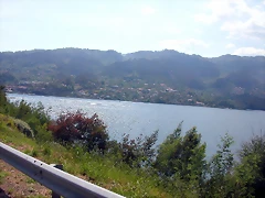 DSCN2461 DSCN2461